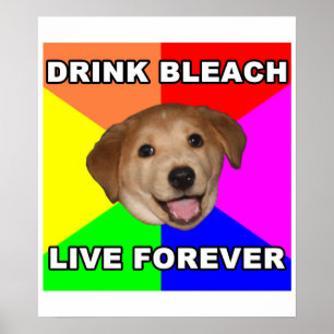 Advice Dog Poster