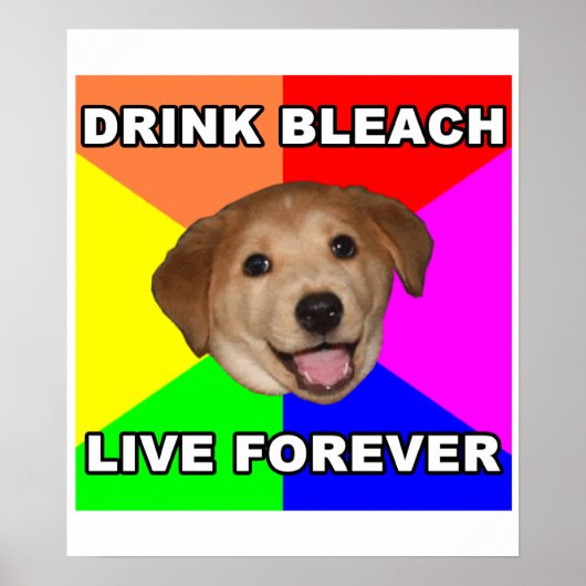 Advice Dog Poster (Voorkant)