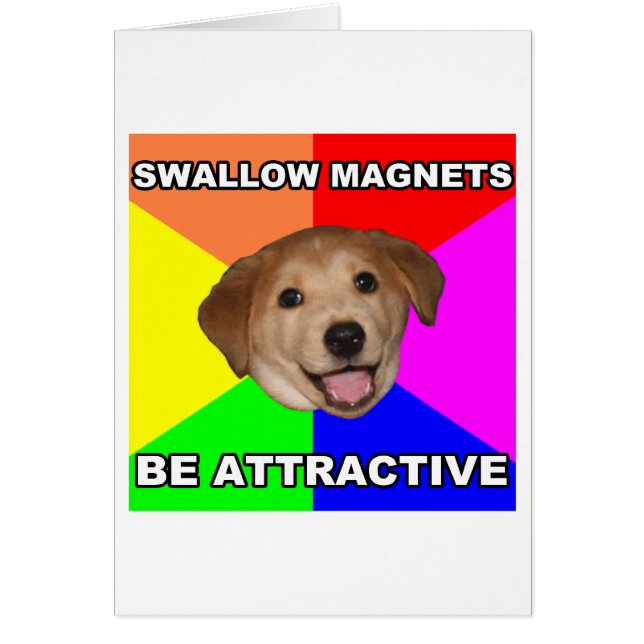 Advice Dog Swallow Magnets (Voorkant)