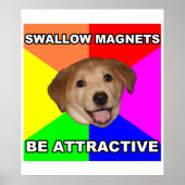 Advice Dog Swallow Magnets Poster (Voorkant)