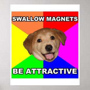 Advice Dog Swallow Magnets Poster