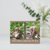 advies: Het leven is kort, leuk Briefkaart (Staand voorkant)
