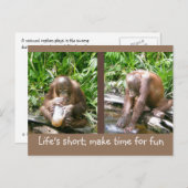 advies: Het leven is kort, leuk Briefkaart (Voorkant / Achterkant)