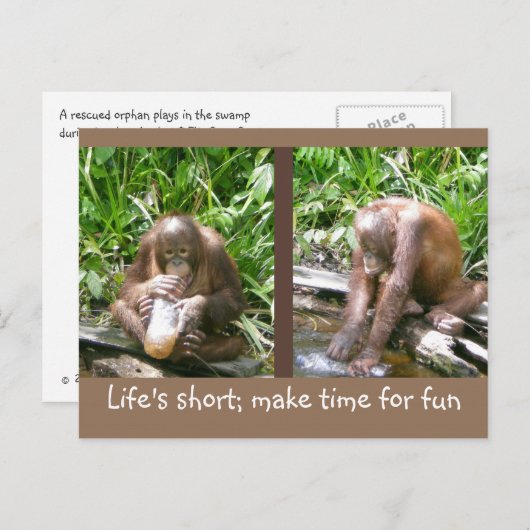 advies: Het leven is kort, leuk Briefkaart (Voorkant / Achterkant)