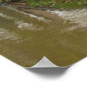 Advies van een alligatorPoster Poster (Hoek)