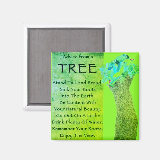 Advies van een boom magneet (Voorkant / Achterkant)
