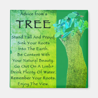 Advies van een boommagneet magneet