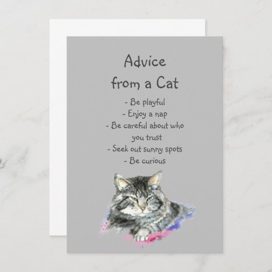 Advies van een Cat Fun Animal Humor (Voorkant / Achterkant)