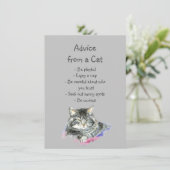 Advies van een Cat Fun Animal Humor (Staand voorkant)