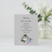 Advies van een Cat Fun Animal Humor Briefkaart (Staand voorkant)