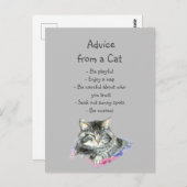 Advies van een Cat Fun Animal Humor Briefkaart (Voorkant / Achterkant)