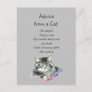 Advies van een Cat Fun Animal Humor Briefkaart