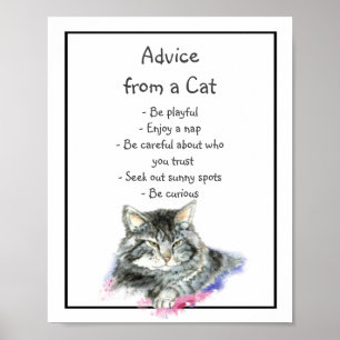 Advies van een Cat Fun Animal Humor Poster