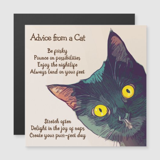 Advies van een Cat Magnetic Kaart (Voorkant / Achterkant)