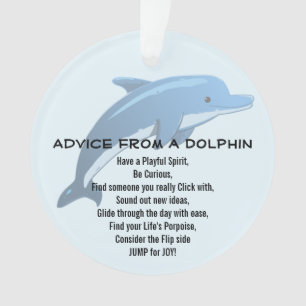 Advies van een Dolphin Acryl Ornament