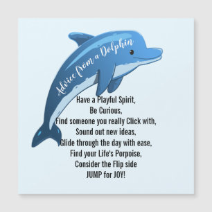 Advies van een Dolphin Magnet