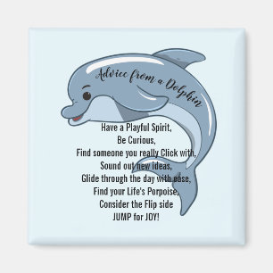 Advies van een Dolphin Magnet