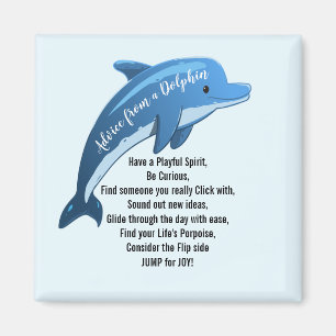 Advies van een Dolphin Magnet