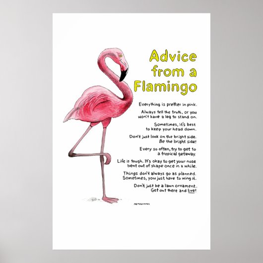 Advies van een Flamingo Poster (Voorkant)