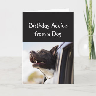 Advies van een hond van een Humor van een hond Kaart