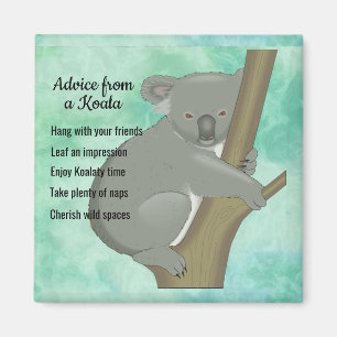 Advies van een Koala Design Magnet