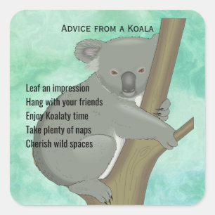 Advies van een Koala Design Sticker