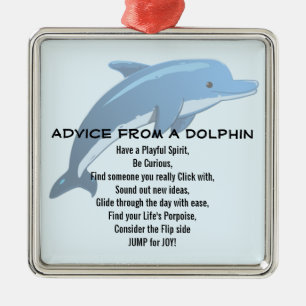 Advies van een Ornament Dolphin