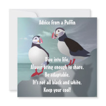 Advies van een Puffin Design Flat Kaart