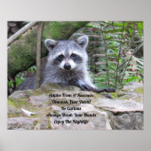Advies van een Raccoon Poster (Voorkant)
