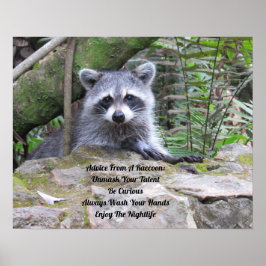 Advies van een Raccoon Poster