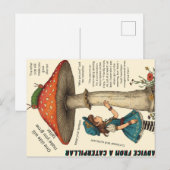 Advies van een rups postkaart (Voorkant / Achterkant)