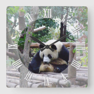 Advies van Panda "Altijd tijd voor pauze" / Panda Vierkante Klok