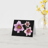 Advies van Three Tiger Lillies Kaart (Gele Bloem)