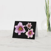 Advies van Three Tiger Lillies Kaart (Voorkant)