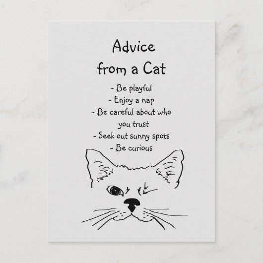 Advies van Winking Cat Fun Animal Humor Briefkaart (Voorkant)