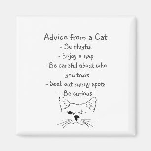 Advies van Winking Cat Fun Animal Humor Magneet