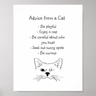 Advies van Winking Cat Fun Animal Humor Poster