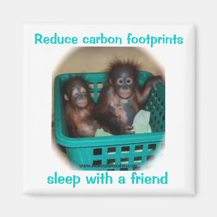 Advies voor het behoud van dieren magneet