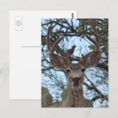 Advieze Briefkaart (Voorkant / Achterkant)