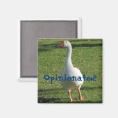 Advieze Magnet! Magneet (Voorkant / Achterkant)