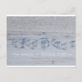 Advocate Beauty Feestdagenkaart