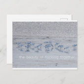 Advocate Beauty Feestdagenkaart (Voorkant / Achterkant)