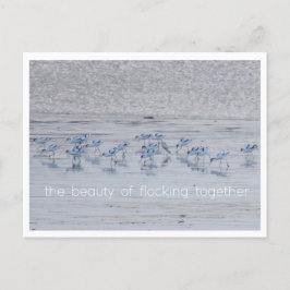 Advocate Beauty Feestdagenkaart