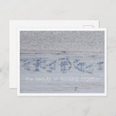 Advocate Beauty Feestdagenkaart (Voorkant / Achterkant)