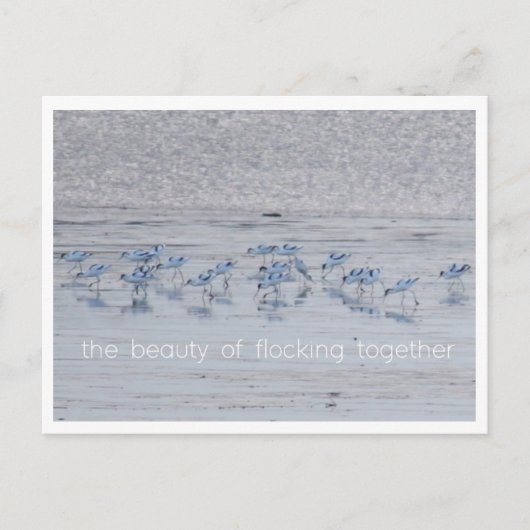 Advocate Beauty Feestdagenkaart (Voorkant)