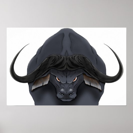 AE Cape Bull Poster (Voorkant)