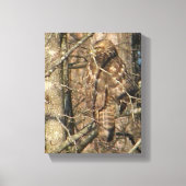 AE- Geweldige Hawk in een boomcanvas Kunst Canvas Afdruk (Voorkant)
