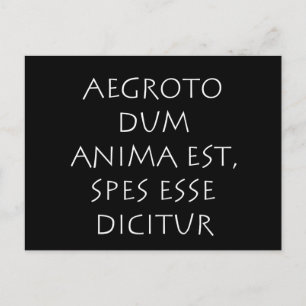 Aegroto dum anima est spes esse dicitur briefkaart