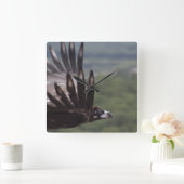 Aegypius monachus vierkante klok (Huis)