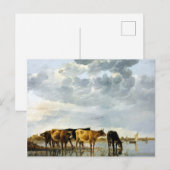 Aelbert Cuyp Koe in een rivier Briefkaart (Voorkant / Achterkant)